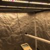 SunPro LED 240W - Image 2