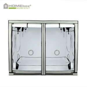 Homebox Evolution Q240