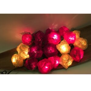 Purple, Pink, White Rose String Lights