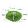 Premium Organic Green Tea Powder Stick
