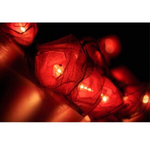 Red Rose String Lights