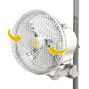 Monkey Fan 20W Secret Jardin