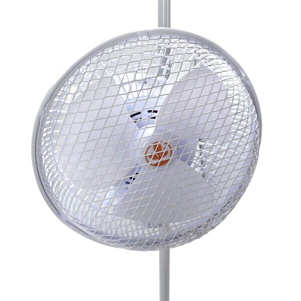 Monkey Fan 20W Secret Jardin - Image 2