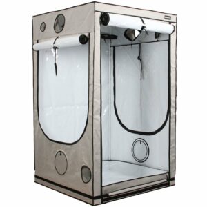 Homebox Ambient Q100+