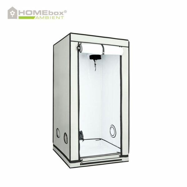 Homebox Ambient Q80 + Plus