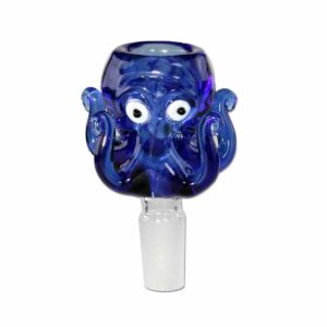 Kräuterkopf Oktopus